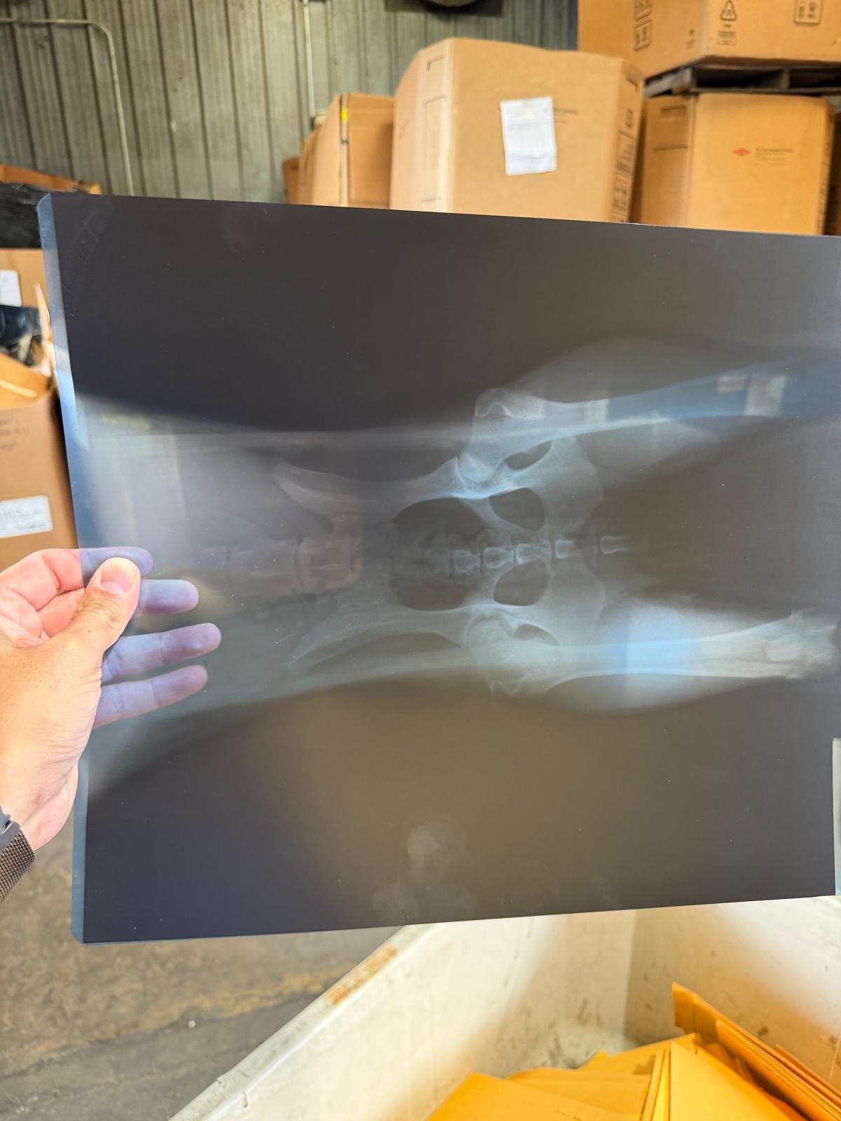 X-ray film collected for recycling in Miami, FL